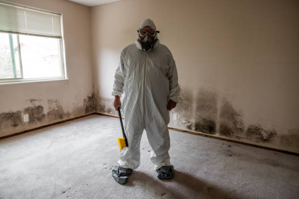 Water Damage Restoration in Moreauville, LA